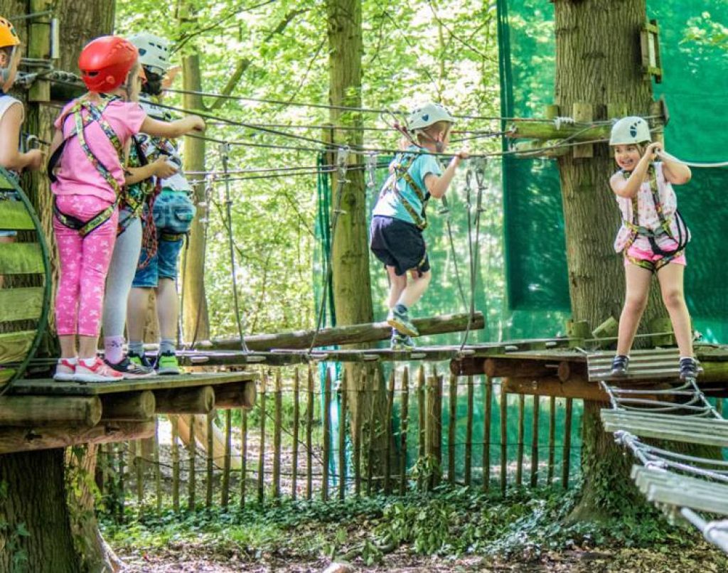 sortie-scolaire-parc-aventure-1024x806